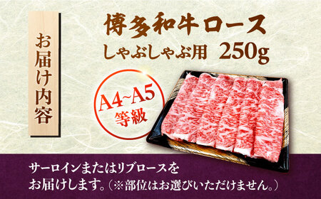 【数量限定 博多和牛】ロース しゃぶしゃぶ用 250g　株式会社チクゼンヤ/桂川町[ADBZ041]