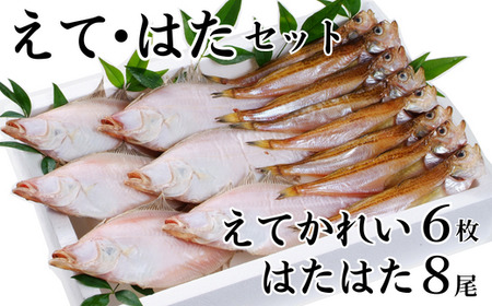 【干物 えてかれい、はたはたセット エテカレイ6枚 ハタハタ8尾 干物の本場 香住産 冷凍】発送目安：入金確認後、順次発送いたします。いずれも脂のりの良い旬の時期のものだけを厳選して一夜干ししました。伝統の「まぶり塩」製法で丁寧に仕上げたハタハタと手作業で作った人気のエテカレイ、どちらも自慢の逸品です。ふるさと納税 大人気 香美町 香住 柴山 山陰 蔵平水産 08-01