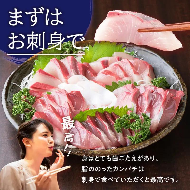 鹿児島県産 カンパチ 約3.5kg 三枚卸（ フィーレ ） 活〆 ※ 真空包装 K294-003_02 魚