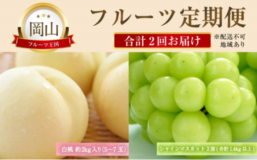 フルーツ 定期便 【2027年 先行予約】 晴れの国 おかやま の 白桃 2kg(5玉～7玉) シャインマスカット 2房 合計1.4kg以上 岡山県産 国産 セット ギフト
