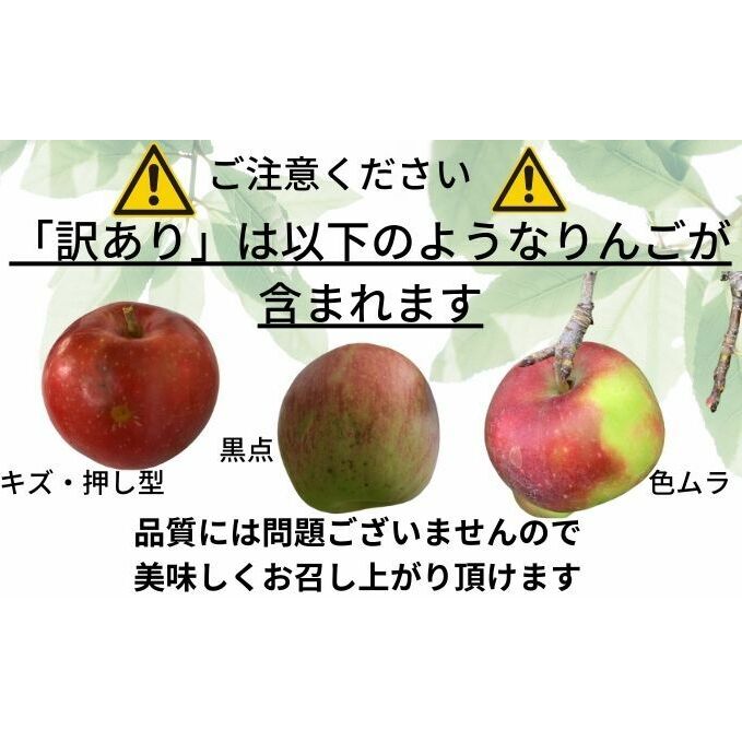 りんご 【1～2月発送】 訳あり 家庭用 百年木の香 三上農園 サンふじ ギフトセット 【 弘前市産 青森りんご 】