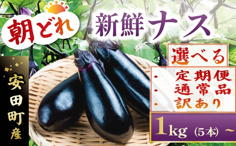 
            【選べる】 朝どれナス 5本～50本 1kg～ 採れたて 産地直送 えらべる 訳あり 通常品 定期便 新鮮 旬 野菜 やさい 茄子 先行予約 期間限定 ふるさと納税野菜 TR-0001all
          