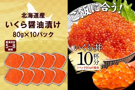 1234. いくら醤油 80g×10個 いくら醤油漬け イクラしょうゆ漬け いくら イクラ 海鮮 魚介 魚卵 送料無料 45000円 北海道 弟子屈町