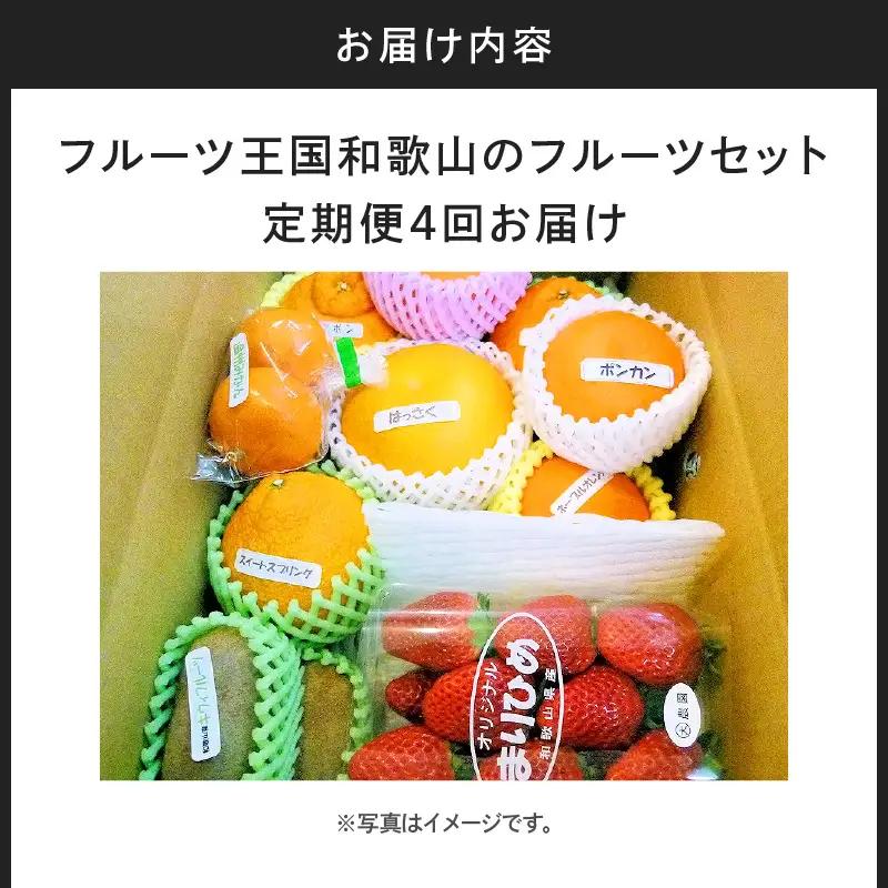 定期便 フルーツセット 年4回(春・夏・秋・冬)【8003-3】