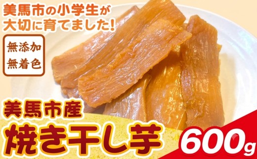 【速攻出荷！】美馬市産 焼き干し芋 600g(200g×3袋) 小分け 1袋200g 《7-14営業日発送》美馬 ほしいも 送料無料 ほし芋 芋 さつまいも サツマイモ 徳島県 美馬市