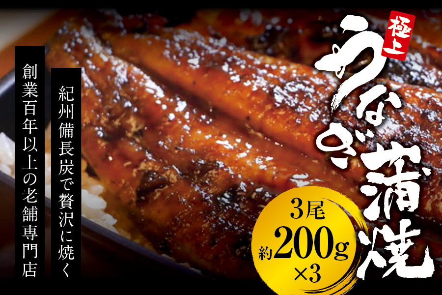 
                  極上！国産うなぎ蒲焼 3尾（約200g×3） 創業100年以上続く老舗 紀州備長炭でじっくり焼き上げた専門店の味 （タレ・山椒付き）/ うなぎ ウナギ 鰻 蒲焼 国産 ふるさと納税【skr003A】
                