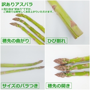 【2024年4月～5月発送】ご家庭用訳あり春どりアスパラ(S～2Lサイズ・2kg）_H155(R6)