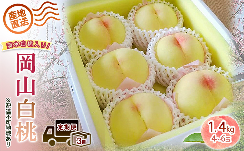 2027年 先行予約 ご家庭用 清水白桃 岡山白桃 食べ比べ定期便 1.4kg(4～6玉) もも モモ 岡山県 国産 フルーツ 果物
