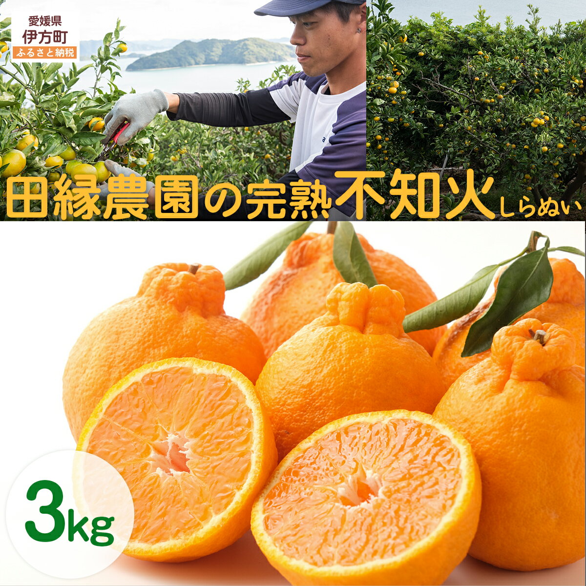 【ふるさと納税】【先行予約】【数量限定】田縁農園の完熟不知火（しらぬい）3kg ※離島への配送不可 （2026年3月20日より順次発送） 【ふるさと納税 人気 おすすめ ランキング みかん 蜜柑 不知火 しらぬい フルーツ 果物 田縁農園 愛媛県 伊方町 送料無料】 IKTA019