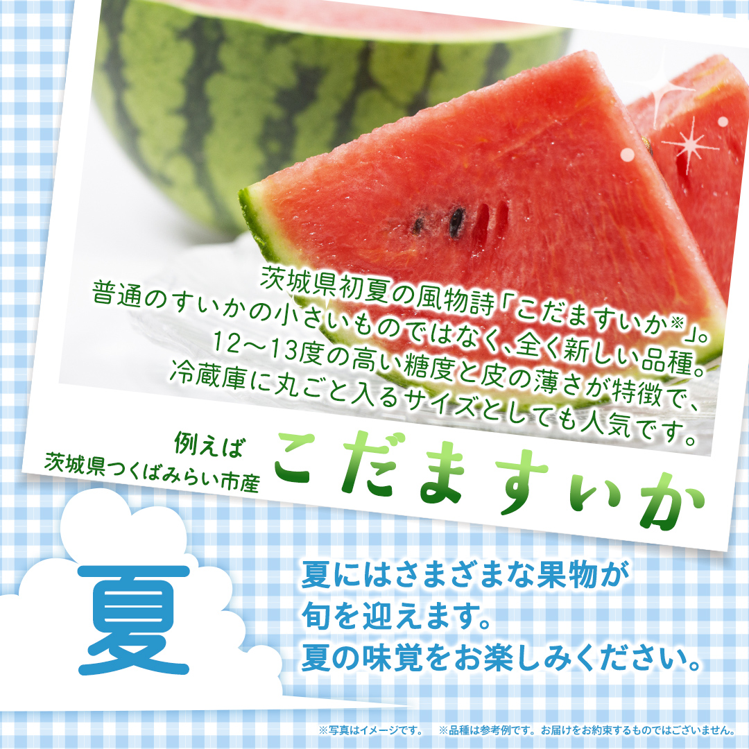 【定期便】フルーツセット（12回定期）（茨城県共通返礼品