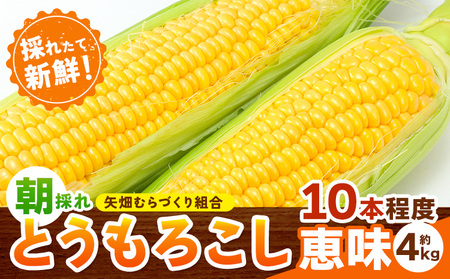 とうもろこし恵味 約4kg矢畑むらづくり組合 《6月下旬-7月下旬頃出荷》とうもろこしとうもろこしとうもろこし