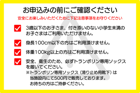 大人から子どもまで本気で遊べる！やはばアスレチックパークjampaland(ジャンパランド)利用券　500円券×4枚/アスレチックパーク jampaland ジャンパランド トランポリン スポンジピッ