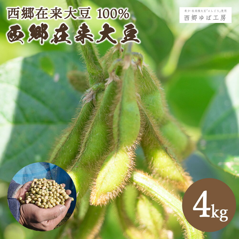 【ふるさと納税】にしごう在来大豆　4kg　大豆 無農薬 無化学肥料 甘み 大粒 コク 栄養 福島県 西郷村 東北　【07461-0283】
