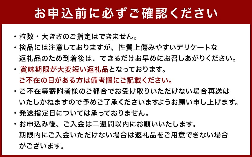 小玉すいか 1玉入り 3Lサイズ 約1.5kg