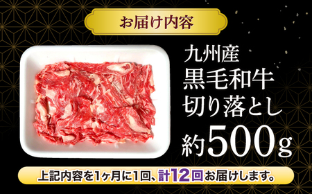 【12回定期便】長崎県産 黒毛和牛 切り落とし 約500g＜宮本畜産＞[CFA052]