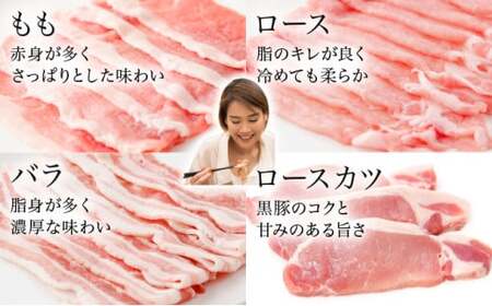 おかやま黒豚　バラエティセット　ロースカツ(900g)&amp;しゃぶしゃぶ用スライス3種(2100g) 3kg以上 豚肉 おかず 小分け 冷凍