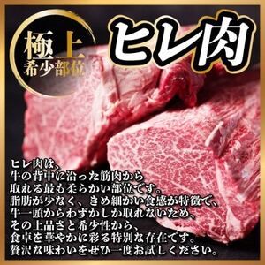 【2ヵ月毎定期便】飛騨牛 ヒレ1本(約4～5kg)【シャトーブリアン＆ヒレ】A4～A5黒毛和牛全4回【配送不可地域：離島】【4084195】