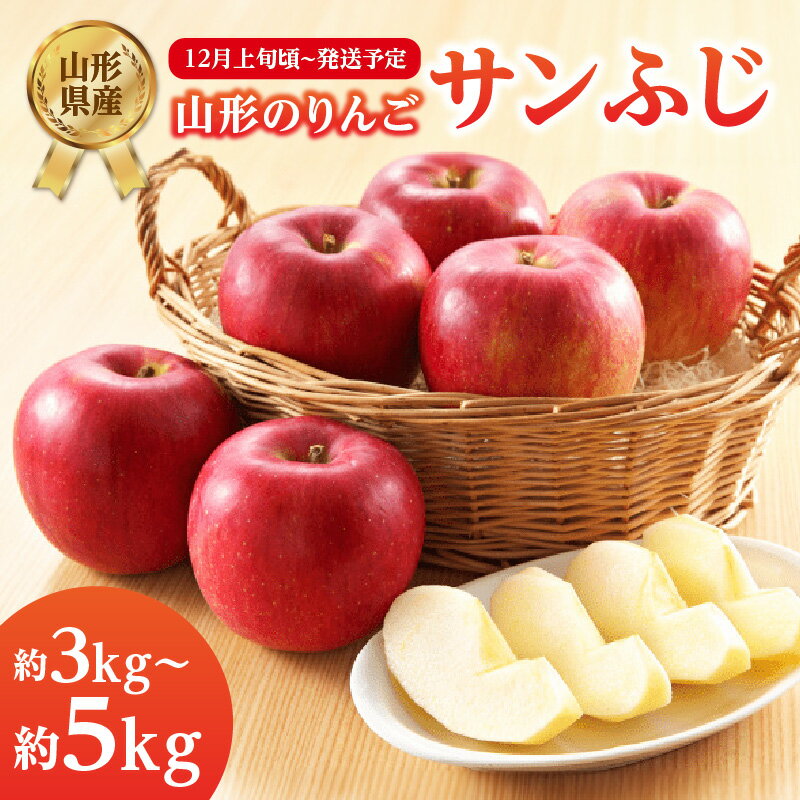 【ふるさと納税】《先行受付》サンふじ 選べる内容量 約3kg～5kg【2026年12月上旬頃～発送予定】【山形りんご・大江町産】 山形県 大江町 果物 フルーツ くだもの リンゴ さんふじ 選べる内容量 約3kg 約5kg 産地直送