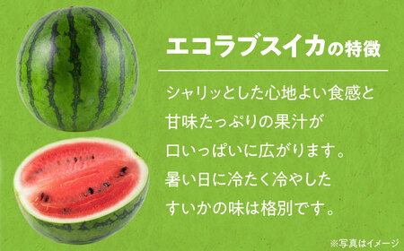 エコラブスイカ（2Lサイズ以上）1玉  [AGBN009]すいかすいかすいかすいかすいかすいか
