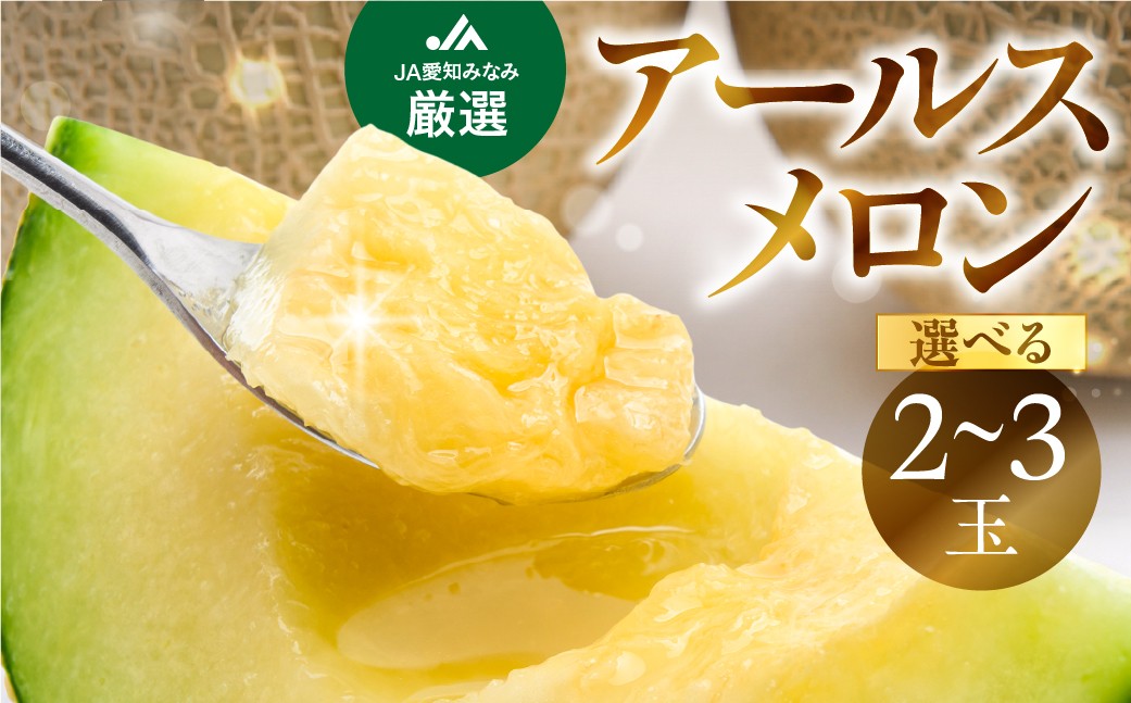 
                  【先行予約】アールスメロン 選べる 2玉/3玉 入りメロン アールスメロン フルーツ 果物 愛知県 田原市 渥美半島 お取り寄せ ギフト 贈り物 プレゼント 贈答 贈答用
                
