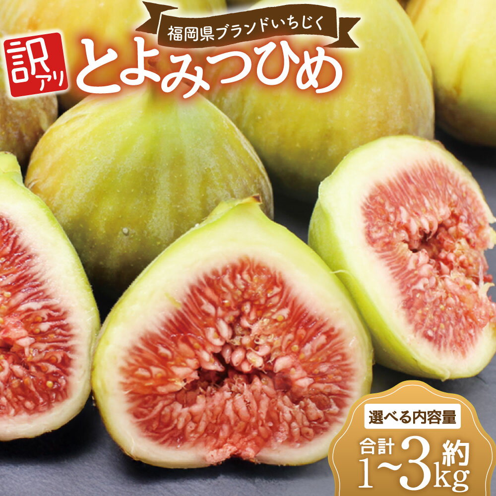 【ふるさと納税】訳あり 冷凍いちじく「とよみつひめ」＜選べる内容量＞ 計1kg（500g×2袋） / 計2kg（500g×4袋） / 計3kg（500g×6袋） イチジク 無花果 フルーツ くだもの 果物 果実 果肉 デザート 真空パック 冷凍 福岡県産 国産 九州 福岡県 岡垣町 送料無料