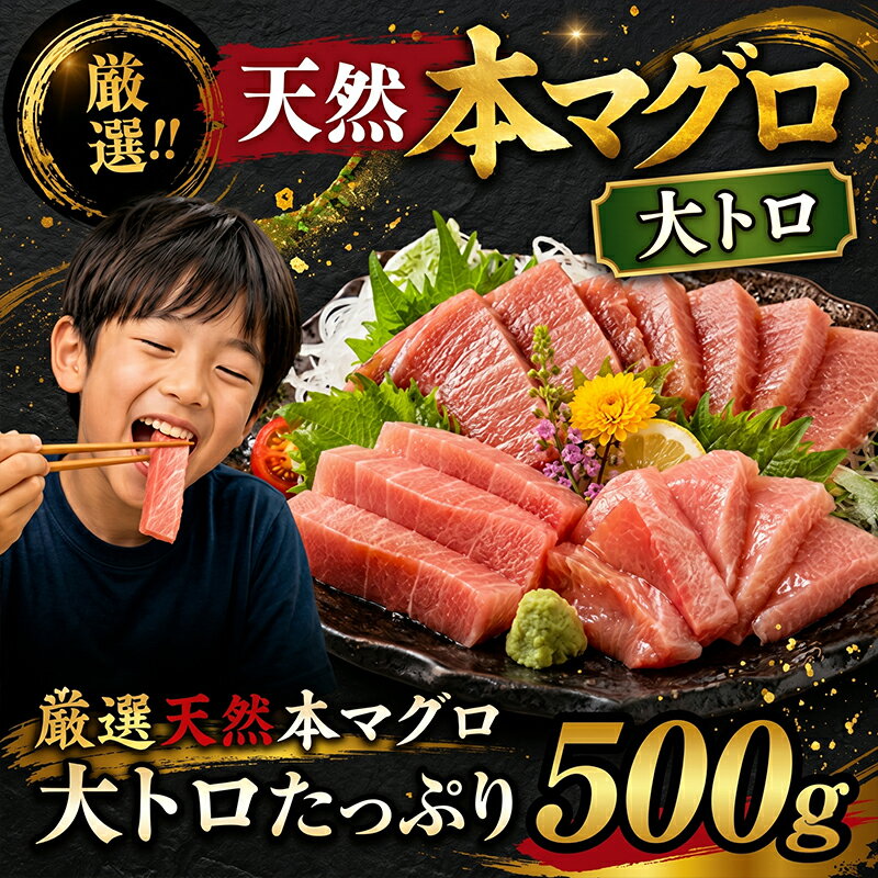 【ふるさと納税】 厳選天然本マグロ 大トロたっぷり500g 数量限定 ブロック 魚 惣菜 刺身 高知県 魚介 お刺し身 鮪 まぐろ丼 お刺身 手巻き寿司 海鮮丼 漬け丼 冷凍 冷凍配送 送料無料 高知県 室戸市ge013