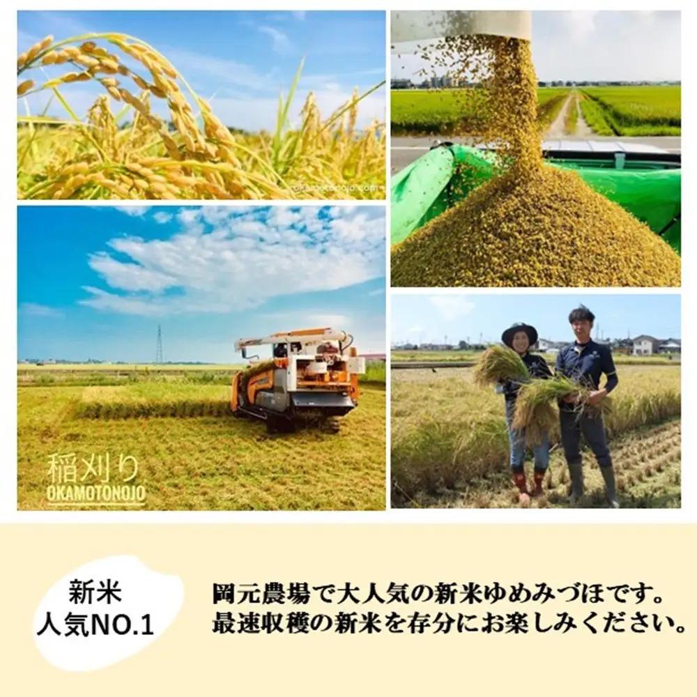 【令和8年産】【日本農業賞大賞】ゆめみづほ4.5kg精白米 能美市 お米 精米銘柄米 ご飯 おにぎり お弁当 和食粘りが少ない 精米したて 一等米
