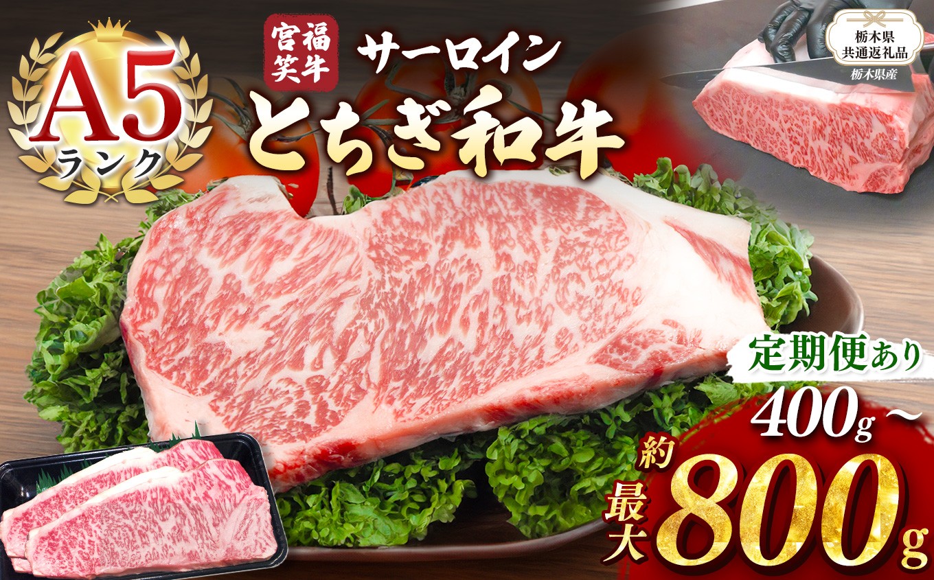 
            【栃木県共通返礼品】宮福笑牛(とちぎ和牛) A5 サーロインステーキ　約400g～800g 定期便あり | 定期便 黒毛 和牛 牛肉 焼肉 とろける 霜降り 赤身 切り落とし ふるさと 納税 イチオシ おすすめ 栃木県 下野市 しもつけ市
          