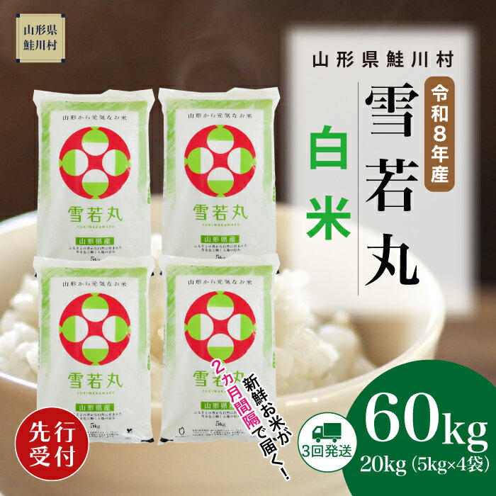 【ふるさと納税】＜令和8年産米先行受付＞ 鮭川村 雪若丸 【白米】60kg （20kg×2ヶ月間隔で3回お届け）＜配送時期選べます＞