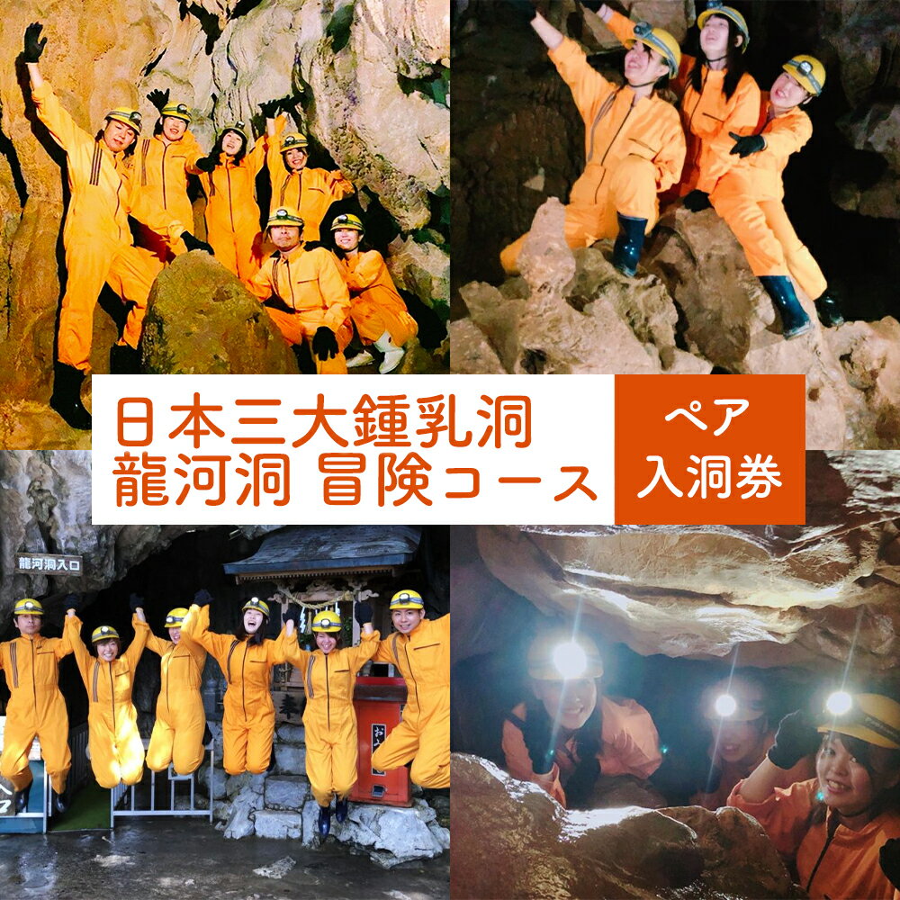 【ふるさと納税】【日本三大鍾乳洞】龍河洞　冒険コース《ペア入洞券》
