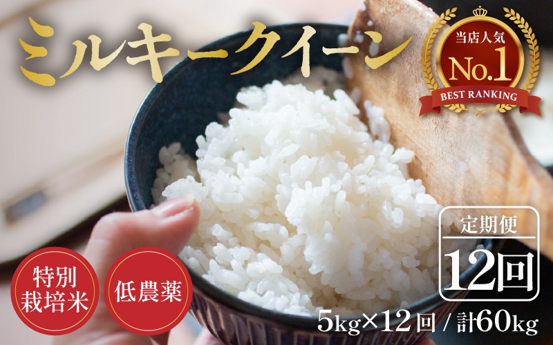 
                  【先行予約】【令和8年産 新米】定期便《12ヶ月連続お届け》5kg×12回 60kg 特別栽培米 ミルキークイーン 精米 低農薬 《食味値85点以上！こだわり精米》 / 福井県 あわら市 北陸 米 お米 人気 白米 精米 ※2026年9月下旬より順次発送  [aw032-o005]
                