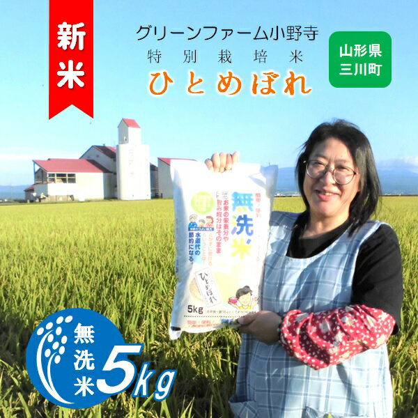 【ふるさと納税】グリーンファーム小野寺の【無洗米】ひとめぼれ5kg（グリーンファーム小野寺）
