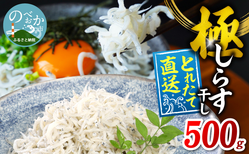【とれたて直送】極しらす干し 500g N065-YA0509