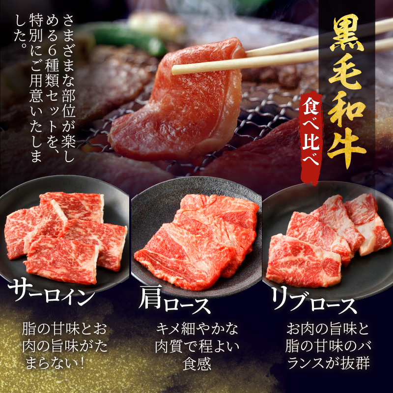 ≪定期便≫＼1か月に2回お届け!!／みんな大好きよくばり焼肉セット【総重量1.8kg】_T030-050【肉 牛 牛肉 おかず 国産 人気 ギフト 食品 お肉 焼き肉 BBQ お土産 贈り物 送料無料