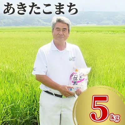 先行予約 白米 あきたこまち 5kg 令和8年産 あきたこまち