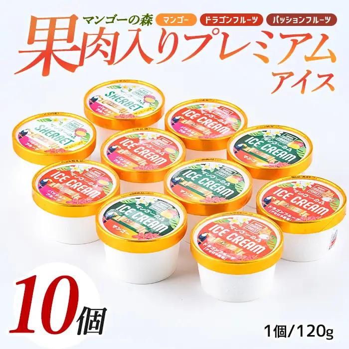 ゴロゴロ果肉入りプレミアムアイス10個セット マンゴーの森 IB040-008 アイス アイス