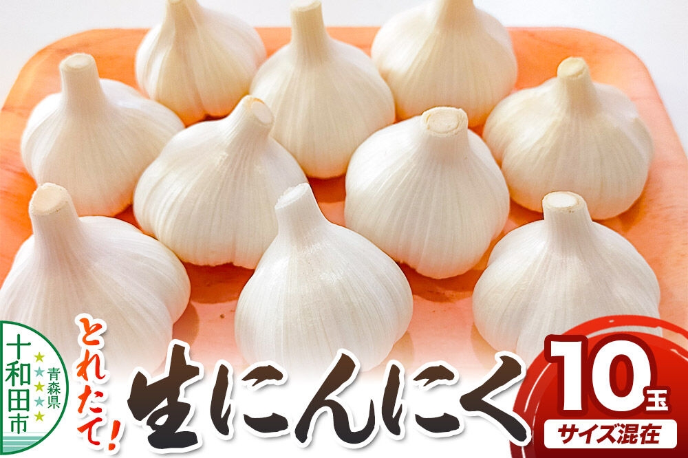 
                  採れたて 生にんにく 10玉 青森県十和田市産 [ニンニク 今が旬 新鮮 みずみずしい]
                