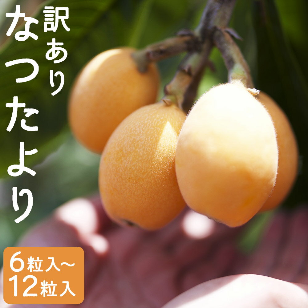 【ふるさと納税】【訳あり】長崎産 茂木びわ なつたより 2L(12粒)/3L(8粒)/4L(6粒) 選べる内容量 ご家庭用 びわ 果物 フルーツ 枇杷 長崎市産 長崎県産 九州産 送料無料