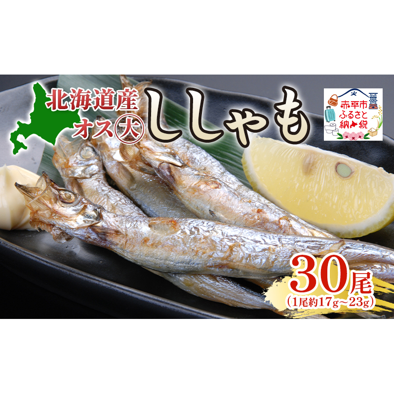 北海道産ししゃもオス大30尾 北海道 稀少 魚 シシャモ オス おつまみ 魚貝類 干物 本物 人気 希少 塩 味付け 脂のり 旨み 美味しい 大きい