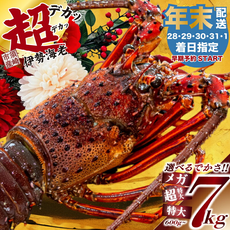 【ふるさと納税】 【年末早期予約受付中】特大 伊勢海老 選べる 容量 600g ～ 7kg 以上 冷凍 特大サイズ 急速冷凍 えび エビ いせえび 高級 鮮魚 海鮮 魚介 刺身 焼き物 汁物 ギフト 贈答 贈り物 お祝い 歳暮 中元 年末 年始 お正月 おせち パーティー 贅沢 国産