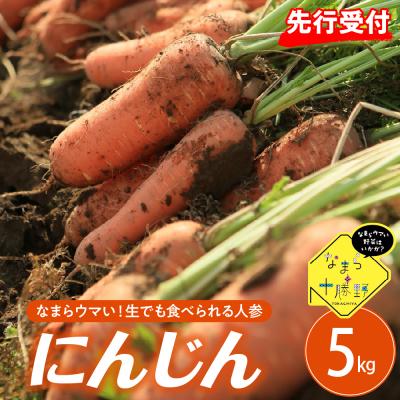 ふるさと納税 芽室町 【先行受付】【10月上旬より発送】北海道十勝芽室町 なまら十勝野 芽室町産にんじん5kg