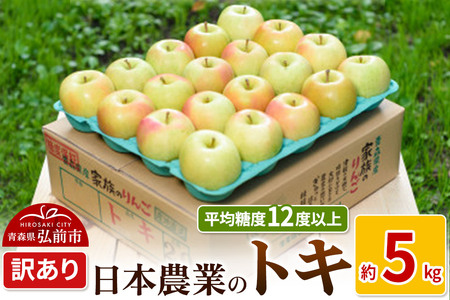 りんご 【先行受付】平均糖度12度以上！ トキ 約5kg 訳あり
