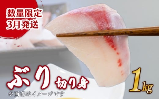 【先行受付 3月発送】ブリ  切り身 1kg  天然鰤 国産ぶり buri 産地直送 刺身 お刺身 漬け丼 茶漬け 新鮮 鮮魚 国産 刺身 刺し身 魚 魚介 国産 天然 三重 南伊勢町 伊勢 志摩  一万一千円 11000円 外湾漁業協同組合