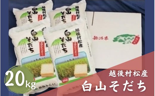 
                  【令和7年産】五泉産コシヒカリ「白山そだち」20kg (5kg×4袋) | 新潟産コシヒカリ 新潟県産コシヒカリ 新潟県産こしひかり 米 お米 こしひかり 白米 精米 ブランド米 新潟県 五泉市 新潟かがやき農業協同組合
                