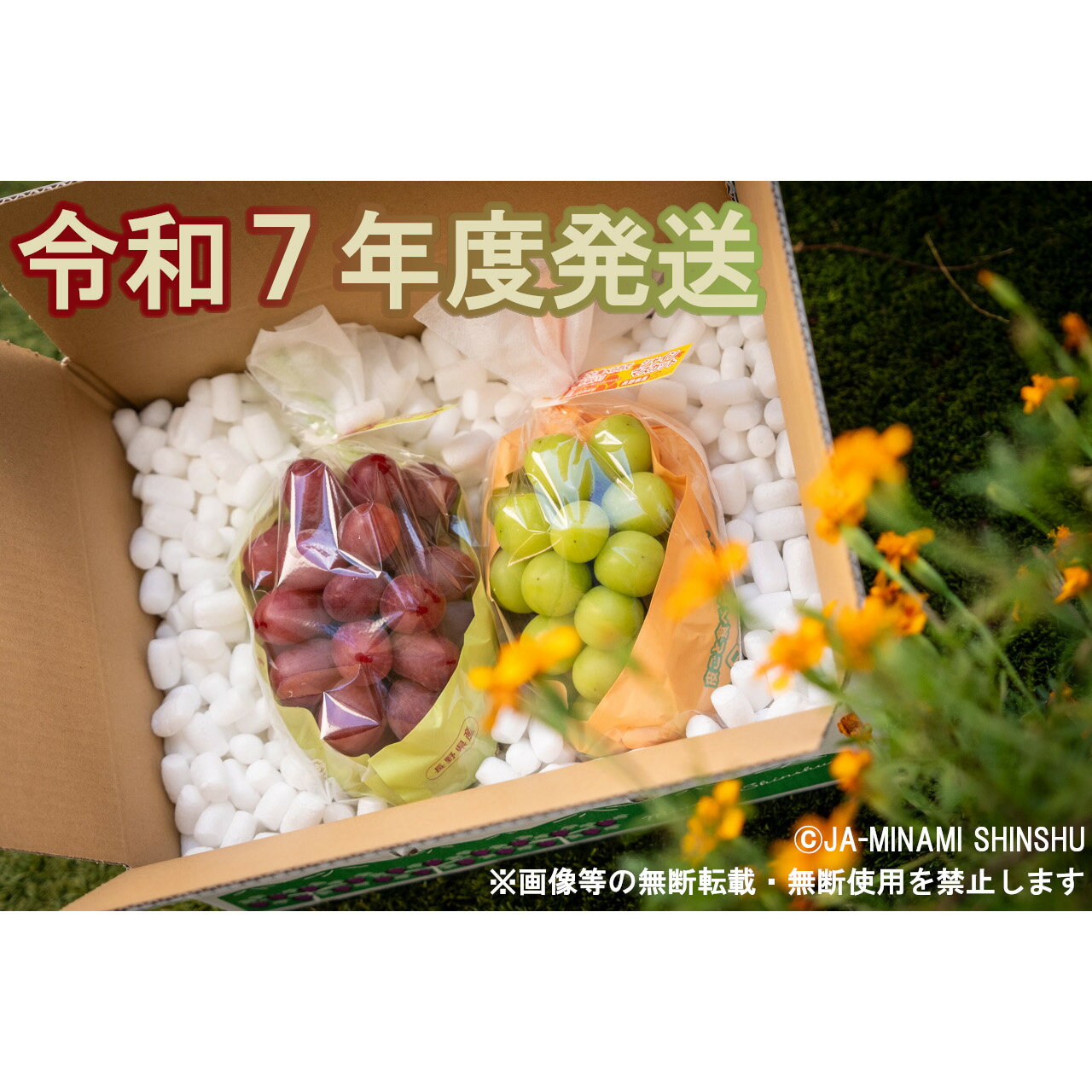【ふるさと納税】【令和7年度発送先行予約品】7-J32 クイーンルージュ®＆シャインマスカット 秀品 約1.2kg (各1房)　クイーンルージュ シャインマスカット 2種類 1房 ずつ