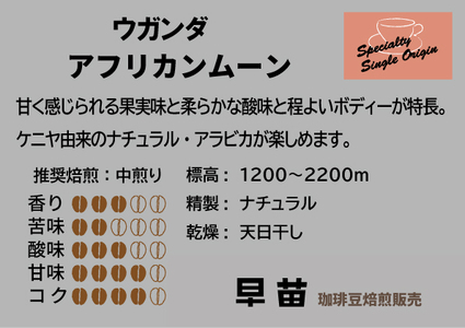 【早苗】焙煎珈琲豆（いつもと違った個性派セット　3種×各100g） 粉   0020-003-S05-2