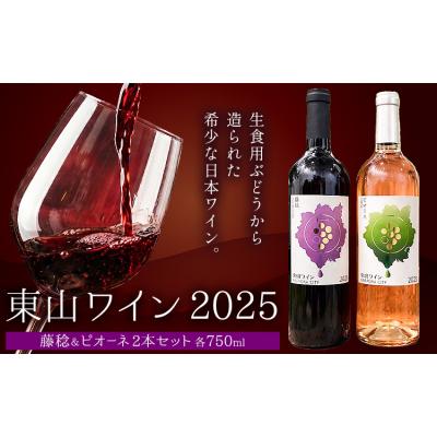 ふるさと納税 笠岡市 東山ワイン2025 750ml 藤稔 ピオーネ 2本セット 東山農園《30日以内に出荷予定(土日祝除