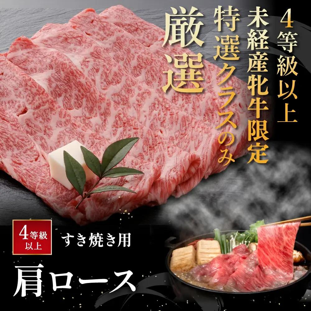 近江牛 すき焼き 肩ロース 500g 【AF03W】 牛肉すき焼き