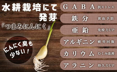 ≪季節限定!≫ぷりぷり食感の生きくらげ(白&黒Mix)+つまみにんにくセット_11-C902_(都城市)生きくらげ 黒きくらげ 白きくらげ 130g×3パック つまみにんにく スーパーフード