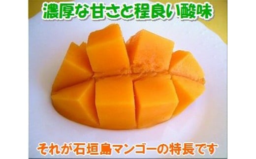 濃厚な甘さ、ジューシーさ、酸味もあります。